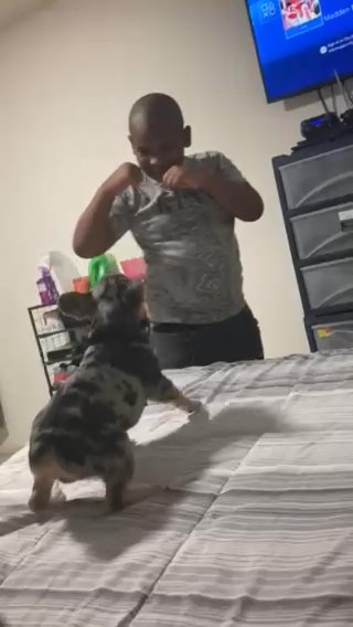 Muriel Frenchie in Houston, Texas
