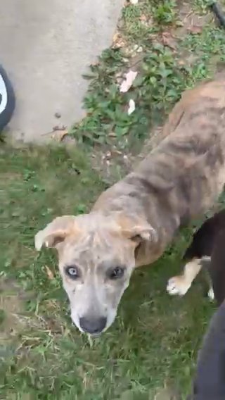 This Is Xena in Mexico, Missouri