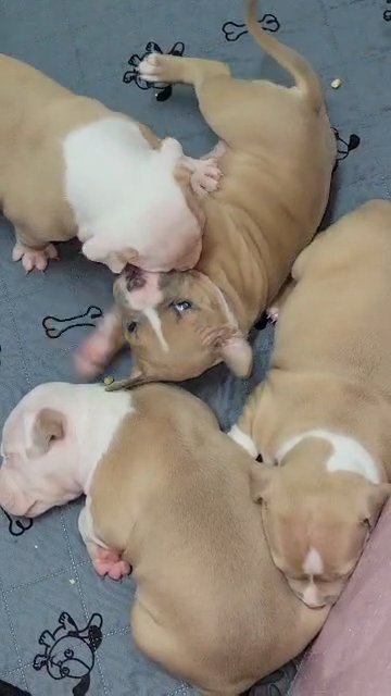female chaos in Slidell, Louisiana