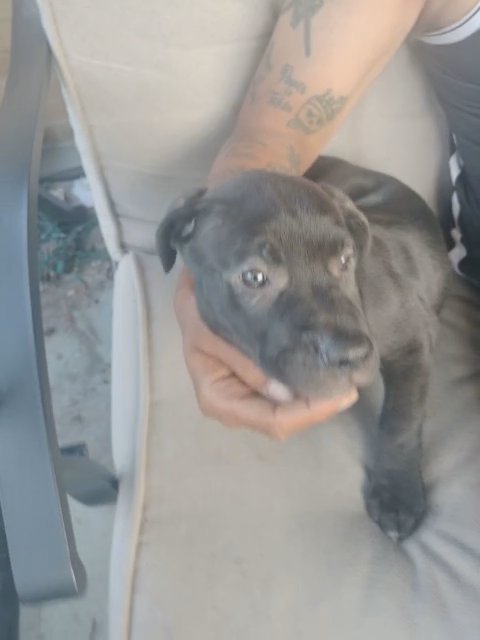 Cy jr in Buffalo, New York