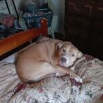 Big sweet girl in Mineral Wells, Texas