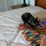 Playing sisters in Marshall, Texas