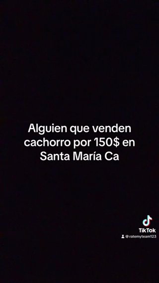 Looking For 150$ Puppy in Santa Maria, California