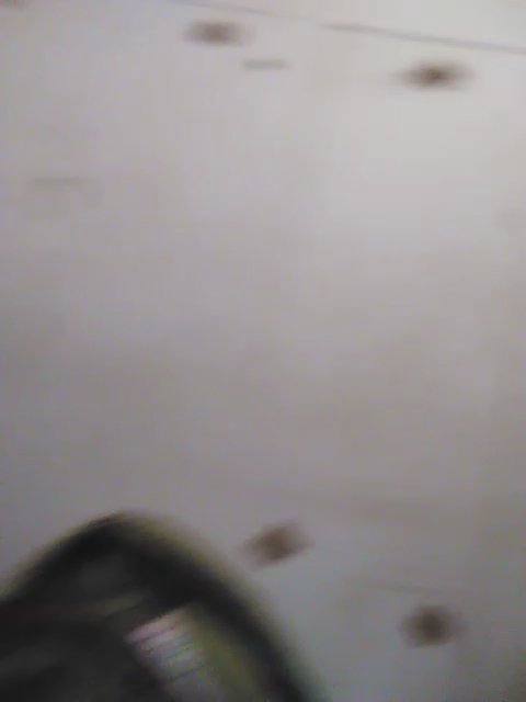 hi my name is diesel I'm a four month old pitbull puppy in Avondale, Arizona