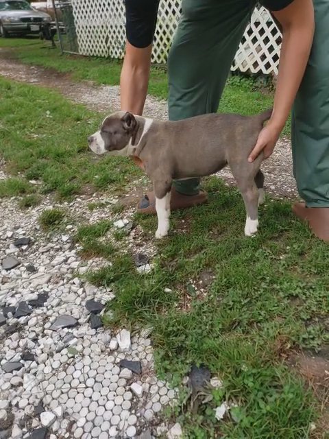 Tyrone x Left Eye male in Washington, District of Columbia