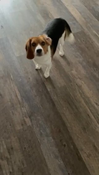Benson in West Deptford, New Jersey