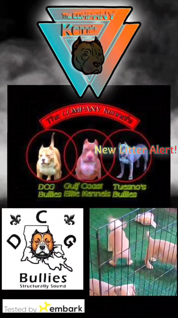 pups are ready in Slidell, Louisiana