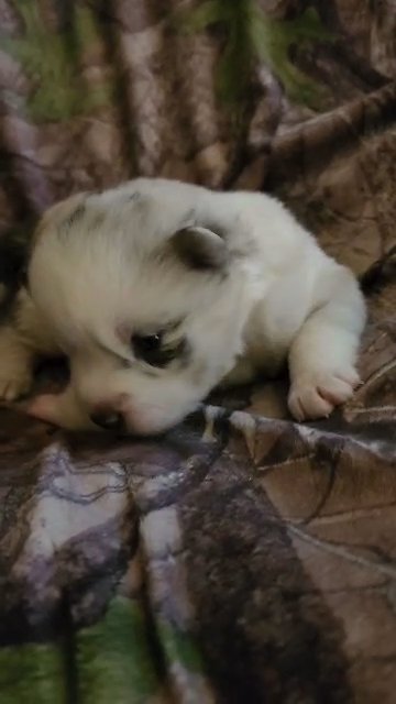 Infinity is 2 weeks old today! in Grand Rapids, Michigan