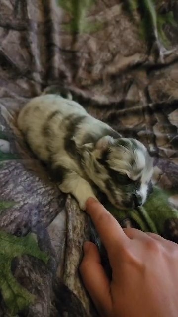 Eternity is 2 weeks old today! in Grand Rapids, Michigan