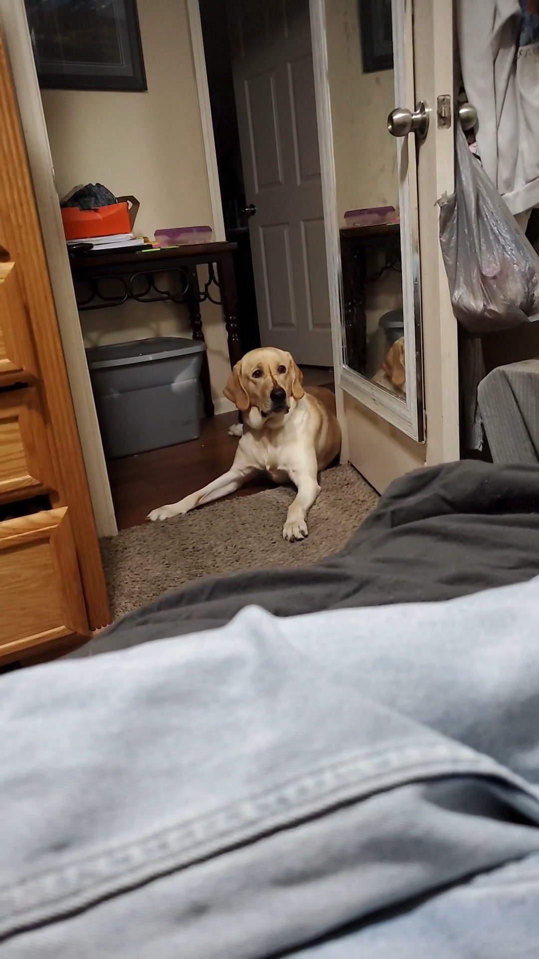 Monty in Pasadena, Texas