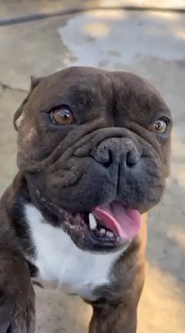 Looking For A Home ! in Santa Ana, California