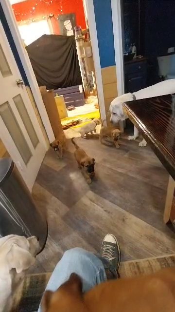 First time out of their room. in Phoenix, Arizona