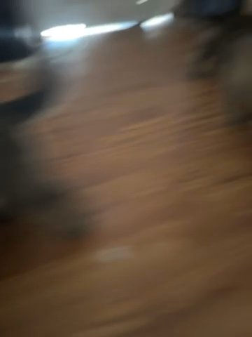 German Shepherds For Sale in Chowchilla, California