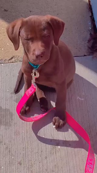 Bella in Cleveland, Ohio