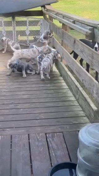 Babies Playing In The Ramp in Anderson, South Carolina