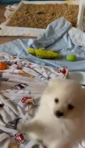 ADORABLE PRECIOUS BABY in Celina, Ohio