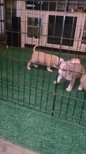 playtime in Slidell, Louisiana
