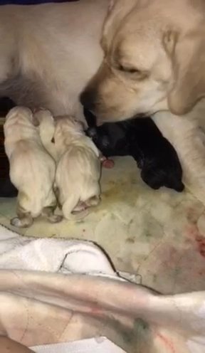 Beautiful Mama Just Gave Birth in Fishkill (Town), New York
