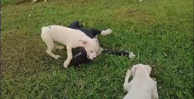Play time in Memphis, Tennessee