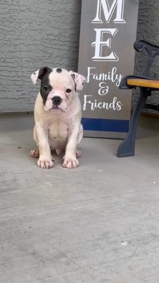 Blue in Phoenix, Arizona