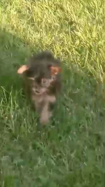 betty in Effingham, Illinois