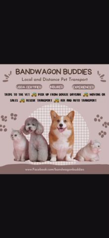 Bandwagon Buddies Pet Transport - USDA in Nashville, Tennessee