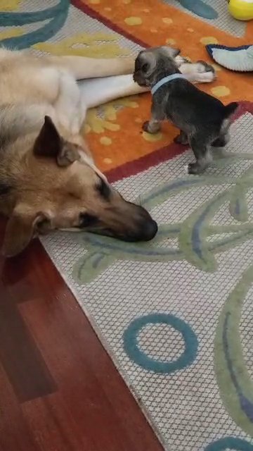 play time in Elizabeth City, North Carolina