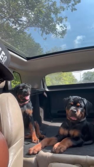 Both Females Available in Key West, Florida