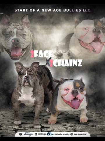 2Face x 2Chainz (parents) in Fort Myers, Florida