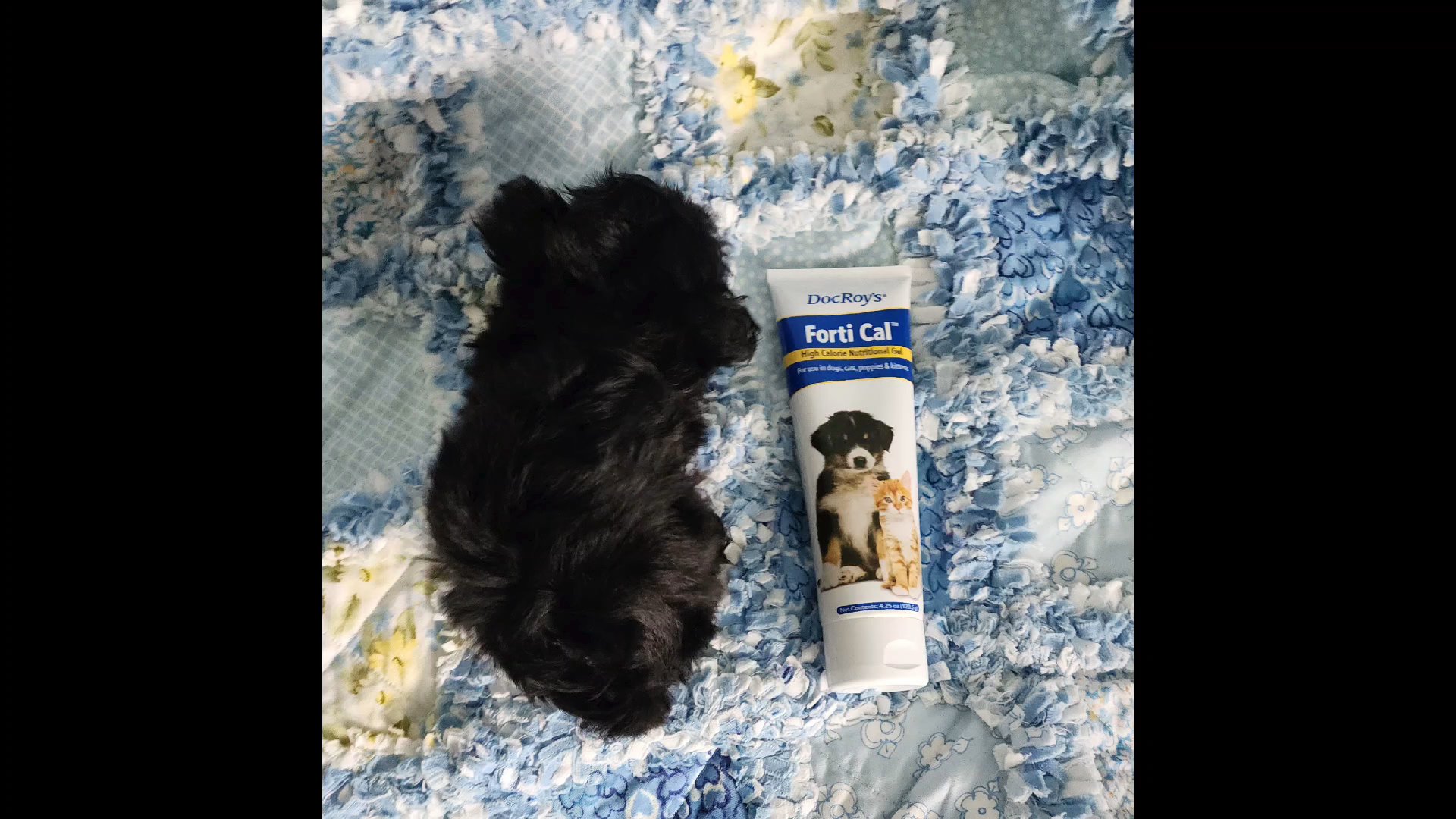 Xs Milo in Chicago, Illinois