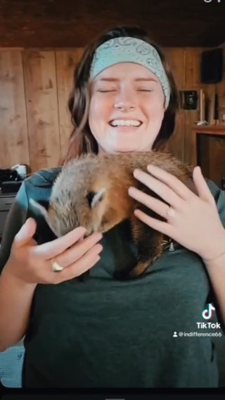 Coatimundi in Nashville, Tennessee