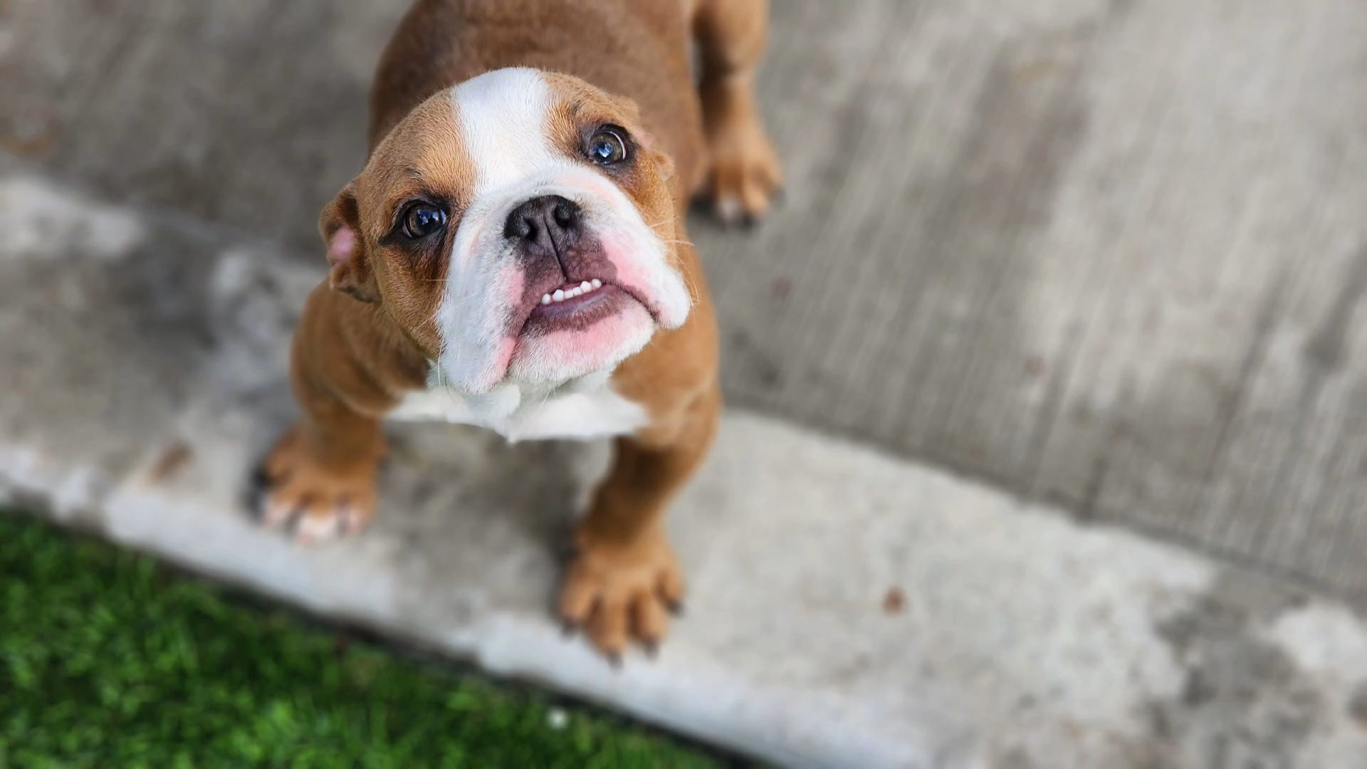 Brooklyn in Chicago, Illinois