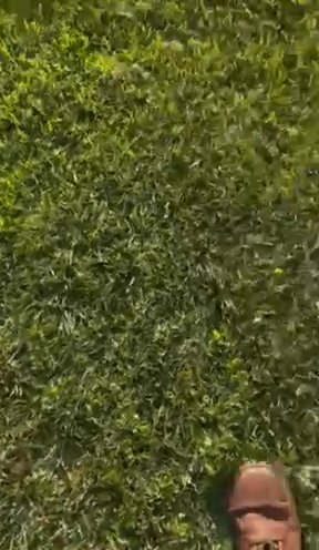 Athena Discovering Her New Yard in Niagara Falls, New York