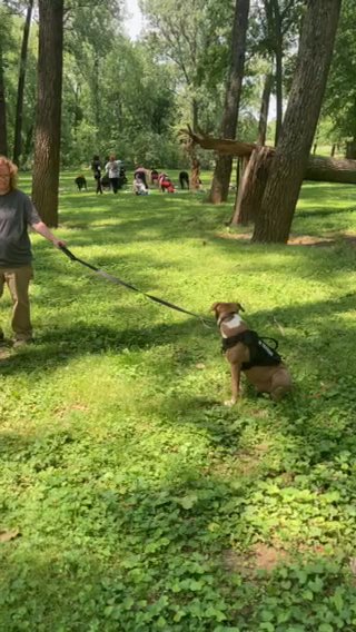 She Needs A Home in Hopkinsville, Kentucky