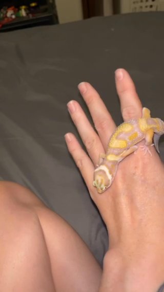 Tangerine Tremper in Cleveland, Tennessee