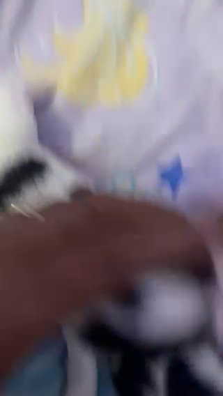 Shih Tzu Fur Babies in Marion, Iowa