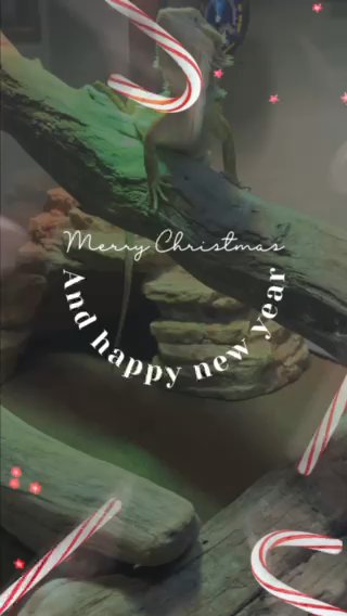 A Christmas Wish in Hopkinsville, Kentucky