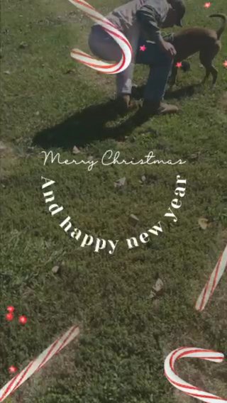 Four Legged Wishes in Hopkinsville, Kentucky