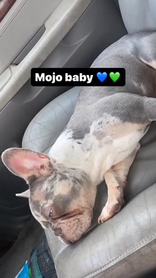 Mojo Baby in Dallas, Texas