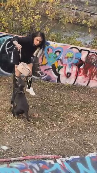 Black And Tan TRI American Bully Pup in Pittsburgh, Pennsylvania