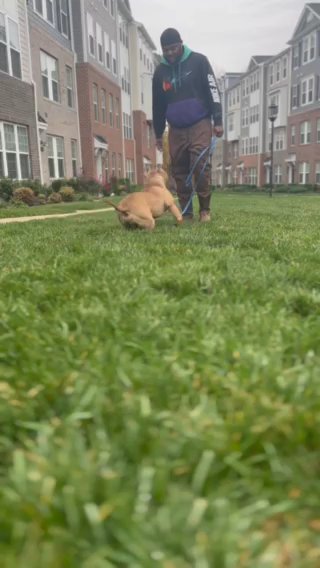 GEMINI in Richmond, Virginia