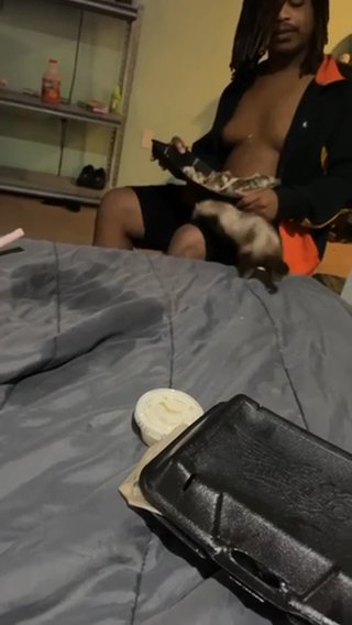 Ferret in Columbus, Ohio