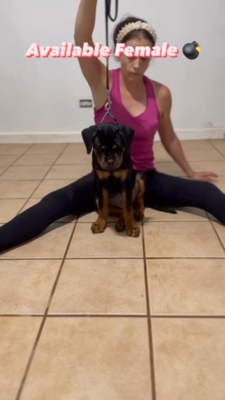 Available Female in Key West, Florida
