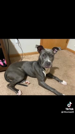 7 Month Pit in St. Paul, Minnesota