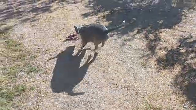 Play Time in Mesa, Arizona