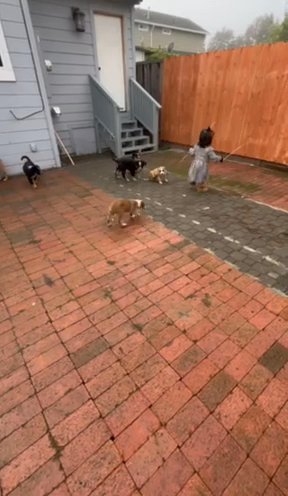 Loving Pups in Oakley, California