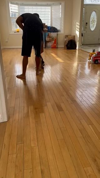 German Shepherd Puppy - 10 Weeks in Carteret, New Jersey