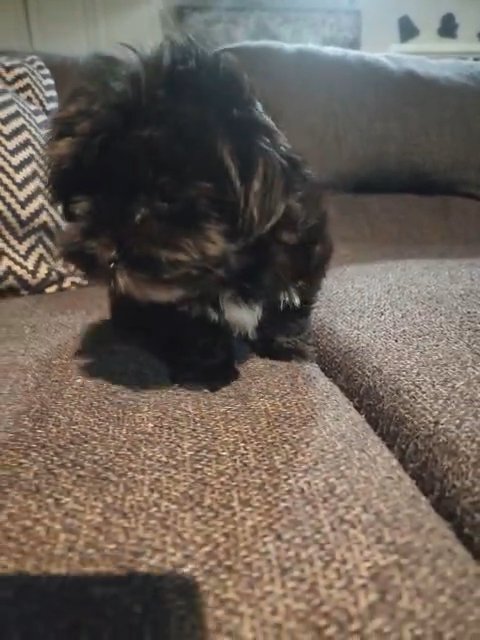 Ms. Bubbles in Houston, Texas