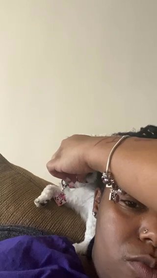 Female Shihtzu Maltese Poodle in Atlanta, Georgia