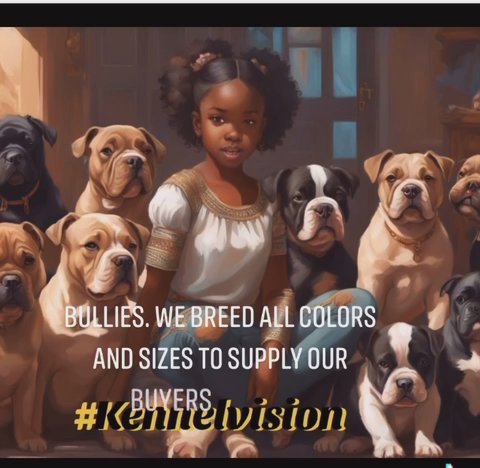 Kennel Vision in Allentown, Pennsylvania